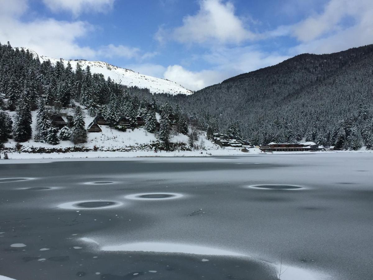 Gite Chaleureux Au Lac De Payolle Campan Eksteriør bilde